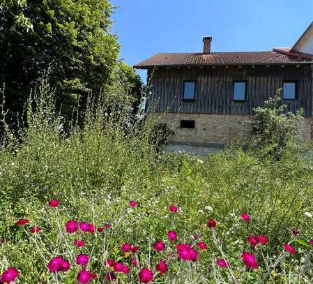 Anteil eines ehemaligen Bauernhauses in ruhiger Lage südlich von Wangen