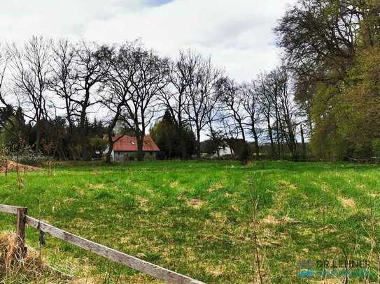 Dr. Lehner Immobilien NB-
Herrliches Baugrundstück am Park in Ortsrandlage