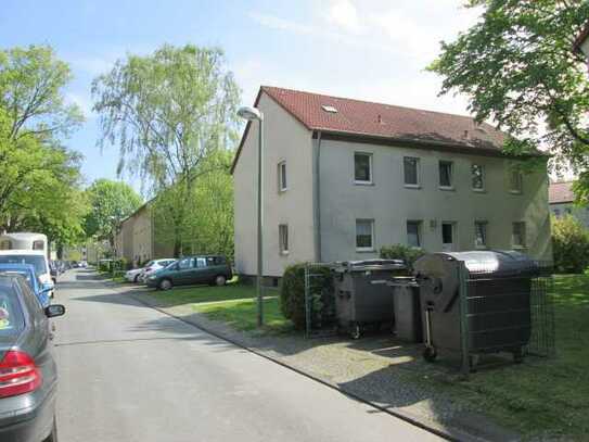 Schöne Erdgeschosswohnung mit schöner Grünanlage hinter dem Haus !