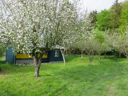 Seltenheit: Bienenhaus mit Fischbecken nahe Kissing