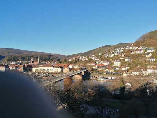 Ansprechende 4-Zimmer Maisonette Wohnung mit Blick auf Neckar in 69412, Eberbach