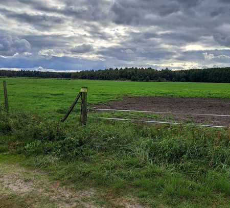 Kein Baugrund. Naturgrundstück, auch als Ausgleichsfläche sehr interessant