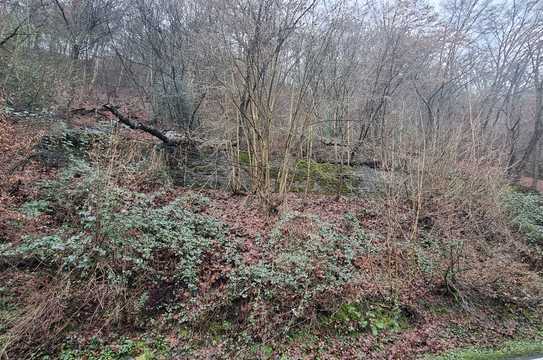 Waldgrundstück in Volmarstein zu verkaufen