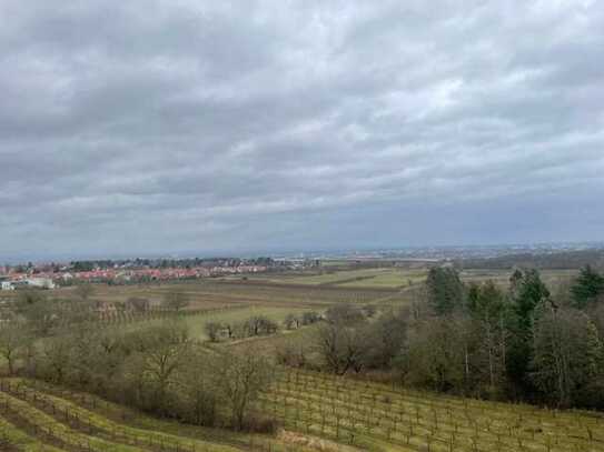 Schöne Aussichten - schicke Wohnung mit Weitblick