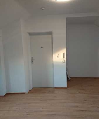 Exklusive 1-Zimmer-Wohnung in Ludwigshafen