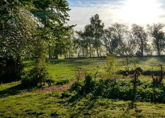 ein Paradies für Pferdefreunde...oder doch etwas ganz anderes?