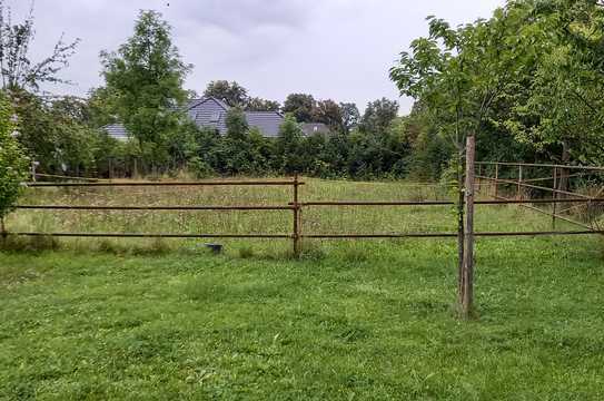 großes Grundstück in ruhiger Lage