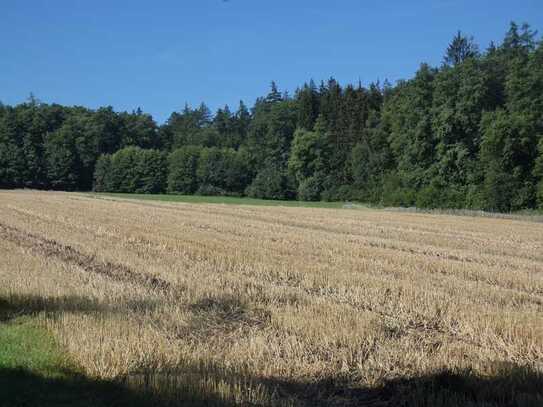 Landwirtschaftsfläche Acker / Wiese