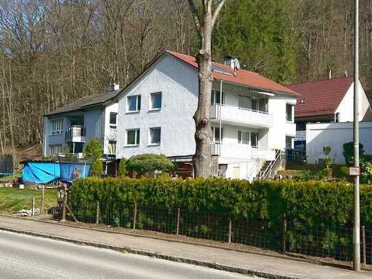 Attraktives Mehrfamilienhaus mit großem Garten am Waldrand von Reichenbach zu verkaufen