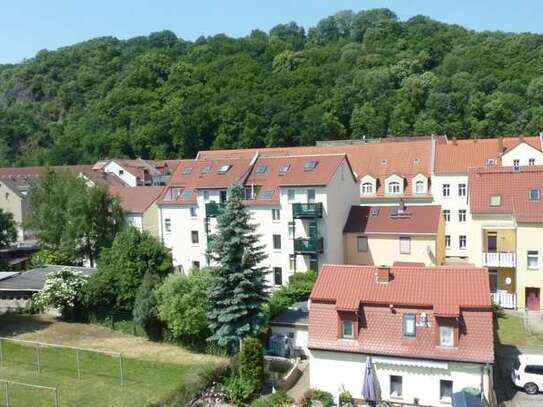 Ruhig gelegene Zweiraumwohnung mit Blick in die Natur