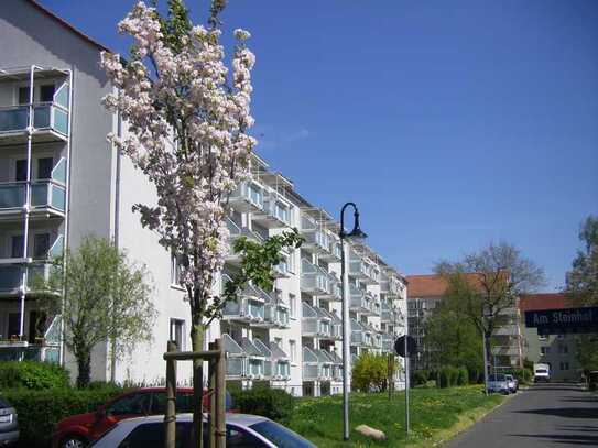 Sonnige 3Raumwohnung im Erstbezug. Beliebtes Wohnumfeld!