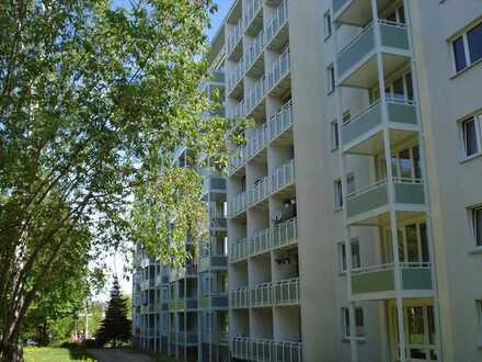 Tolle 2-Raum-Wohnung mit Balkon nahe Stadtpark