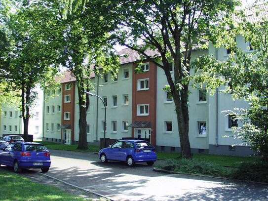 Frei ab 01.Dezember! 3-Zimmer-Wohnung in Castrop-Rauxel Schwerin