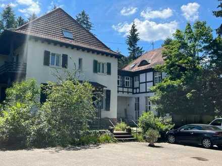 Herrliche Villa im Grünen mit Galerie und Fachwerkhaus, ein Platz der 1000 Möglichkeiten