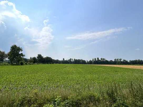 Landwirtschaftliche Fläche (Ackerland) in Bad Zwischenahn-Ohrwege