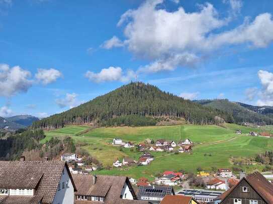 Schöne möblierte 1-Zi-Whg mit separater EBK, Süd-Balkon mit traumhaften Ausblick in Baiersbronn