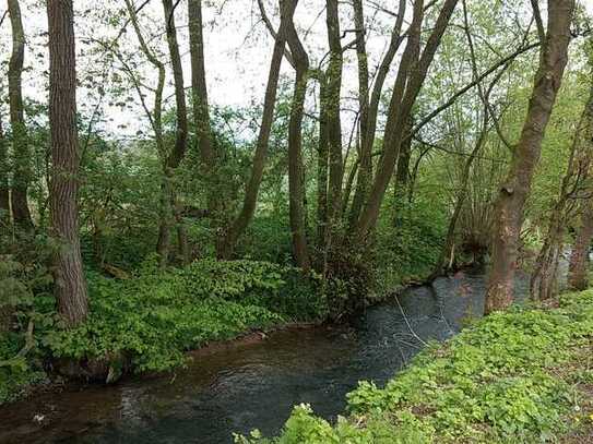 Schönes Baugrundstück im Forstbachtal