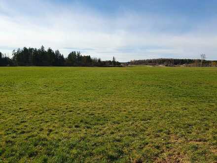 Wiese in der Gemarkung Unterdießen