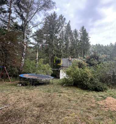 Absolute ruhige Lage am Wald - 30 Minuten nach Berlin