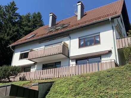 Schicke Wohnung mit einmaligem Blick in die Rheinebene