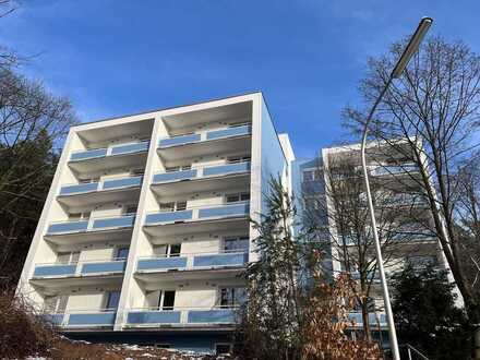 1 Zimmer Appartement in Erlenbach