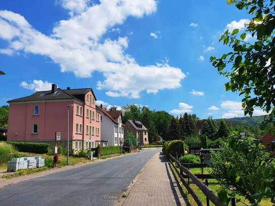 Schöne Wohnung in grüner Lage