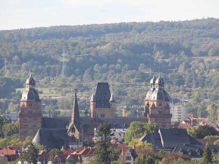 Traumgrundstück mit Weitblick über das Schloss bis nach Frankfurt am Main !