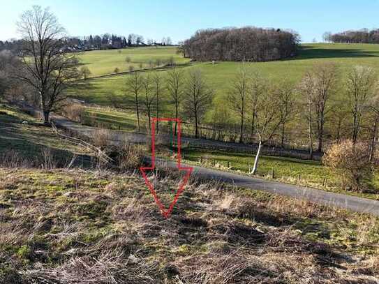 Großzügiges Baugrundstück in idyllischer Ortsrandlage!