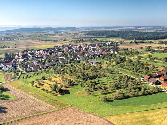 Sofort frei: Renovierte 3-Zimmer-Wohnung direkt am Rande des Naturschutzgebiets Schönbuch-Westhang