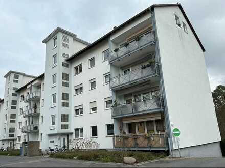 Modernisierte 3-Zimmer Wohnung in Bickenbach