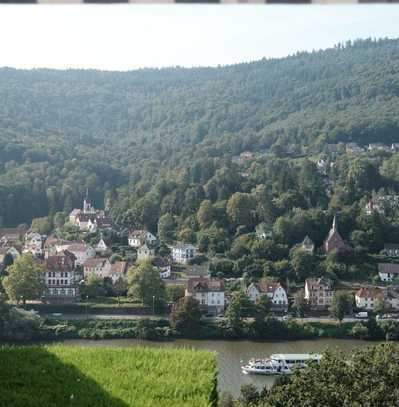 Doppelhaus mit Neckarblick