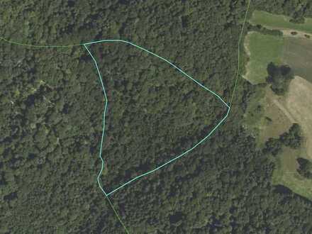 ca. 3,74 ha Mischwald bei Ringelai
