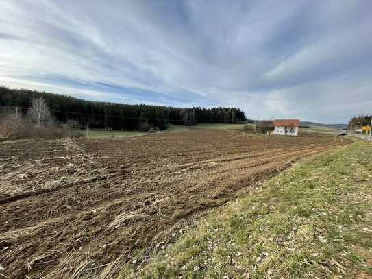 Landwirtschaftsfläche bei Teunz