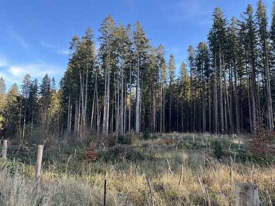 Gemarkung Weilheim i.OB: Waldgrundstücke