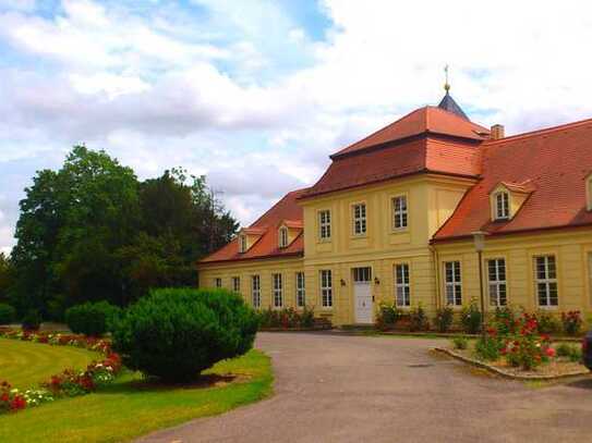 Schloss Nischwitz, Charmante großzügige 3,5 Zimmmer im Dachgeschoß, Einbauküche