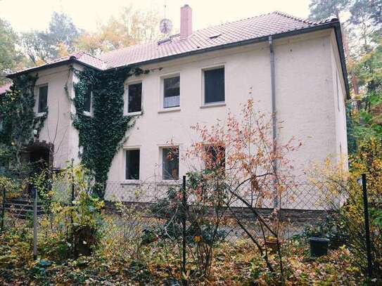 Wohnen im Grünen: schöne 4-Zimmer-Wohnung mit Terrasse in Haldensleben