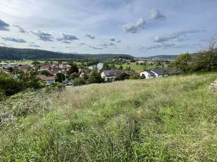 Südhanglage mit Neckarblick - Baugrundstück in den Weinbergen von Gundelsheim - Böttingen
