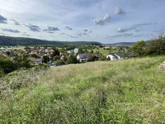 Südhanglage mit Neckarblick - Baugrundstück in den Weinbergen von Gundelsheim - Böttingen
