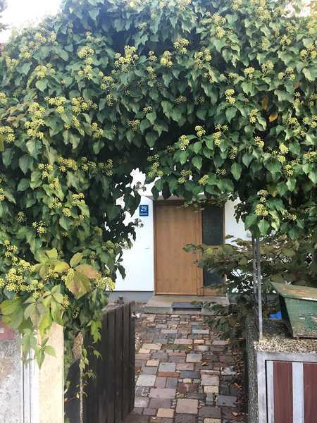 Charmantes, großzügiges Reihenhaus mit eigenem Garten