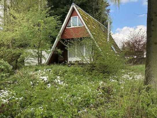 Gemütliches Ferienhaus in der Waldsiedlung