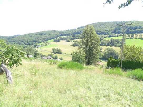 Freizeitgrundstück mit wunderschöner Aussicht in Weilrod/Finsternthal