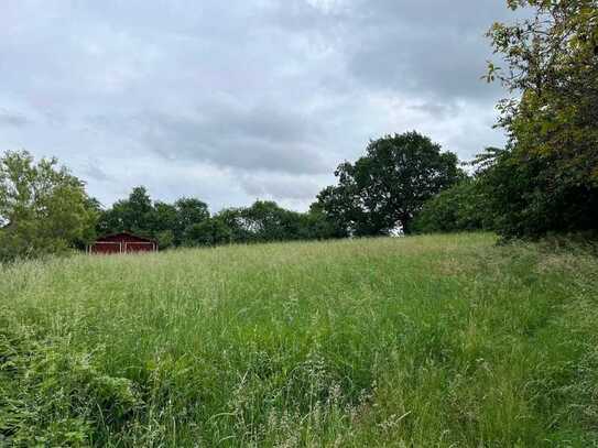 DEUTSCHMANN IMMOBILIEN ***** ivd - Großes, sonniges Baufeld in ruhiger Ortsrandlage mit Weitblick!