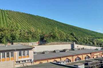 Top gepflegtes 4-Familienhaus mit Blick auf die Weinberge