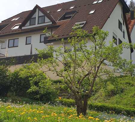 ***Klasse 3-Zi.-Wohnung in schöner, naturnaher Lage mit Balkon und TG-Einstellplatz