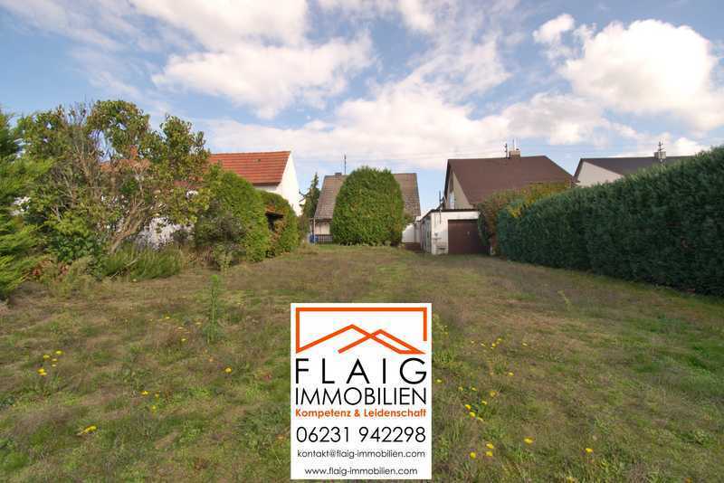 Real Estate Title Image Background