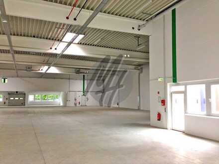 KEINE PROVISION ✓ TOP-AUSSTATTUNG ✓ Lagerflächen (300 m²) & Büroflächen (150 m²) zu vermieten