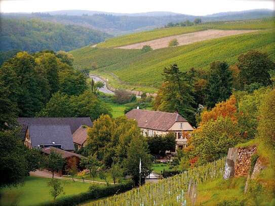 Leben auf einem idyllischen Weingut in Johannisberg - privat 3,5 Zimmer mit EBK, Terrasse und Garten