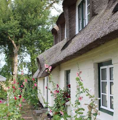 Karby an der Schlei, traumhafter Rückzugsort unter Reet