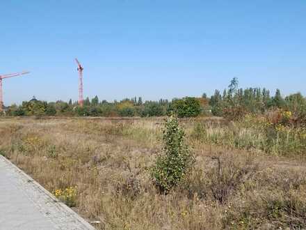 7000 m² Baugrundstück Wagner-Régeny-Allee
für gewerbliche Nutzung in Berlin-Johannisthal