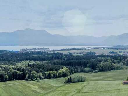 SPEKTAKULÄRER VIERSEITHOF IN IDYLLISCHER PARKLANDSCHAFT MIT BERGBLICK